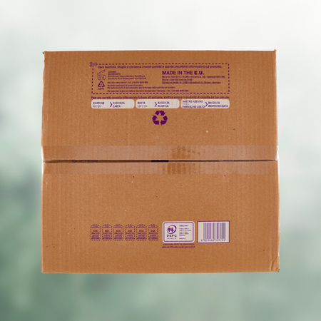 Maxi, Mutandino, wizard